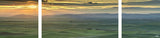 DS0804